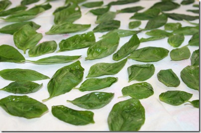 how to freeze basil