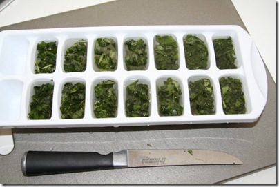 how to freeze herbs