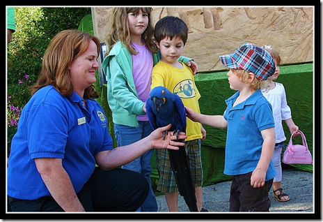 San Diego Zoo Elephant Odyssey