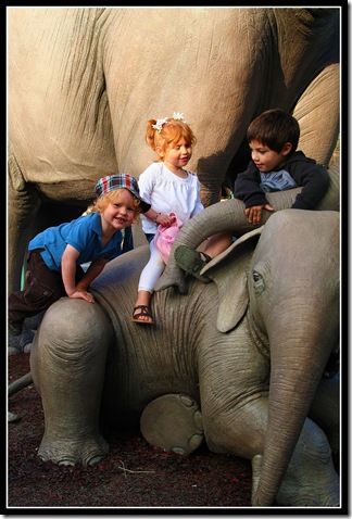 San Diego Zoo Elephant Odyssey