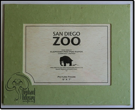 San Diego Zoo Elephant Odyssey