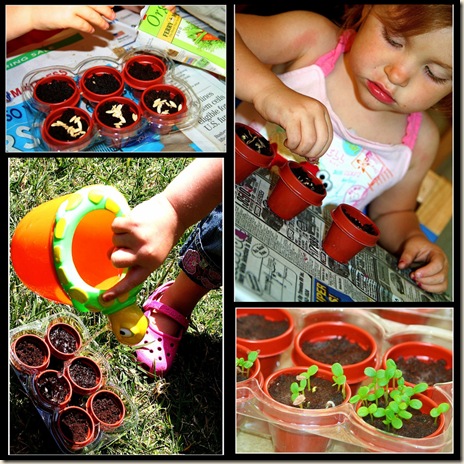 planting collage