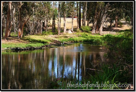 Sweet Springs Nature Preserve Los Osos