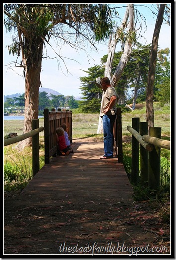 Sweet Springs Nature Preserve Los Osos