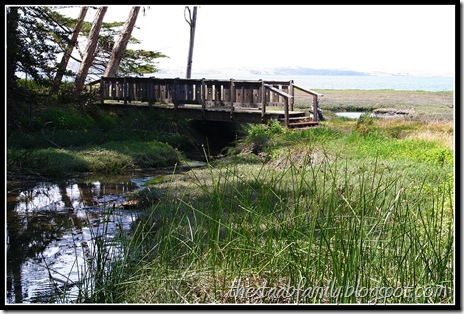 Sweet Springs Nature Preserve Los Osos