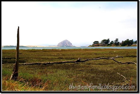 Sweet Springs Nature Preserve Los Osos