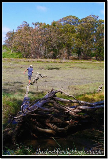 Sweet Springs Nature Preserve Los Osos