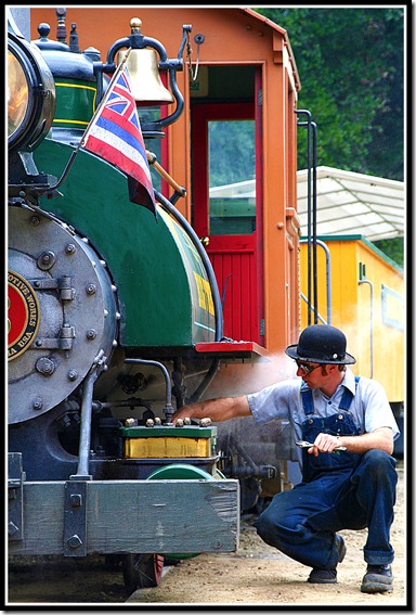 Roaring Camp