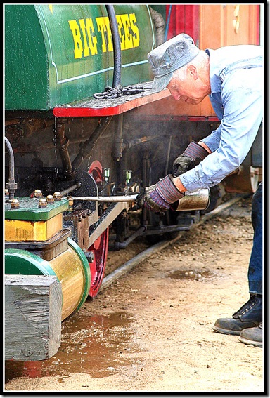 Roaring Camp