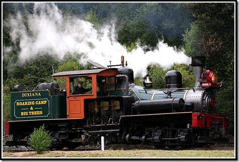 Roaring Camp