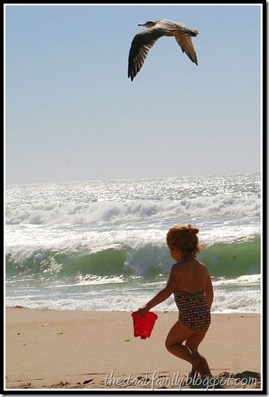 Marina State Beach