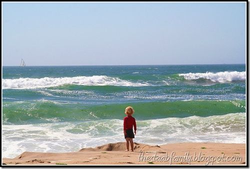 Marina State Beach