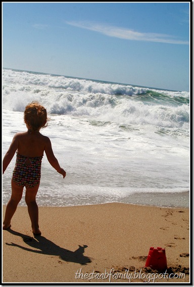 Marina State Beach