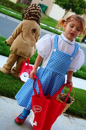 Wizard of Oz Costume