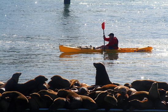 Things to do in Monterey California