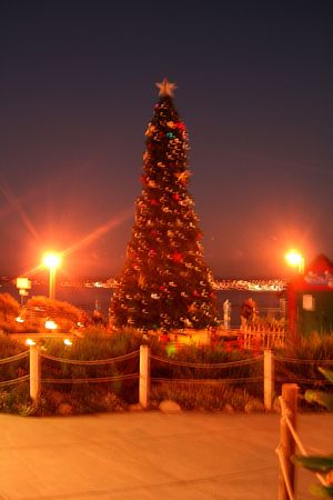 Christmas in Monterey California