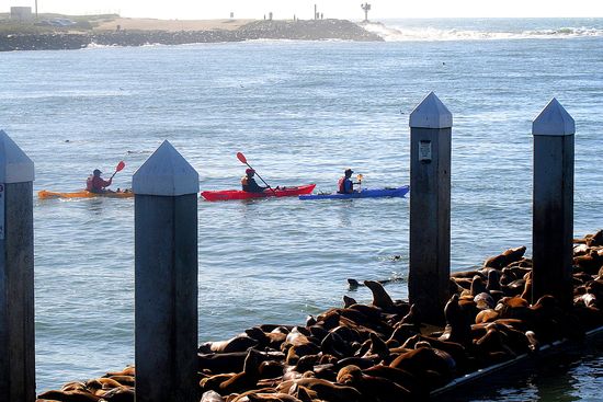 Kayaking at Moss Landing