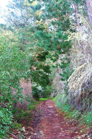 hiking in Monterey