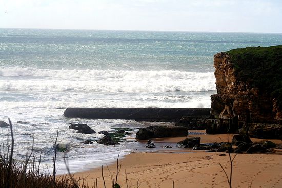 Wilder Ranch State Park