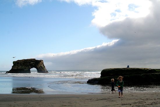 Natural Bridges State Beach