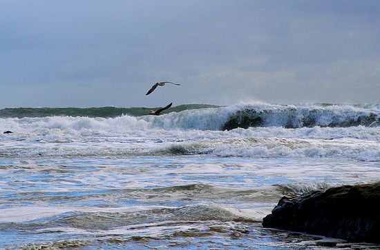 Natural Bridges State Beach