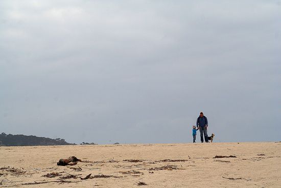 Carmel Beach