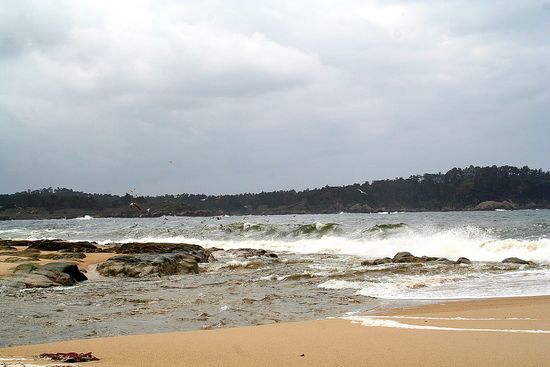 Carmel State Beach