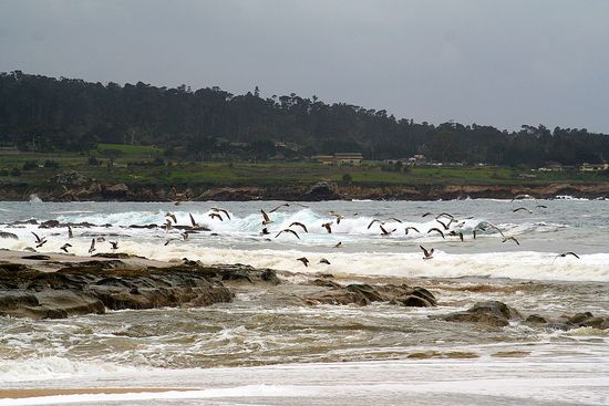 Carmel California