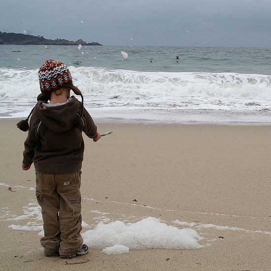 Carmel River State Beach