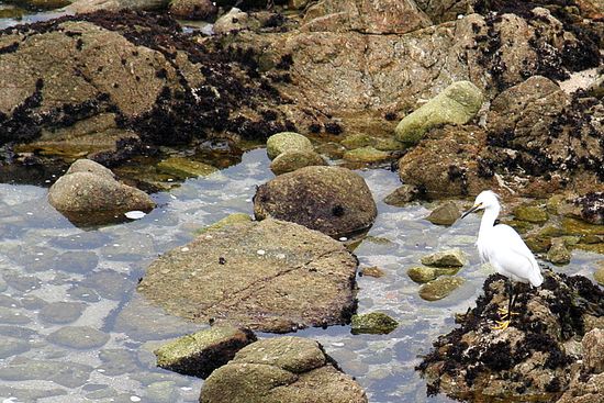 Carmel Rock Pools