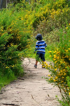 Capitola Nature Walk