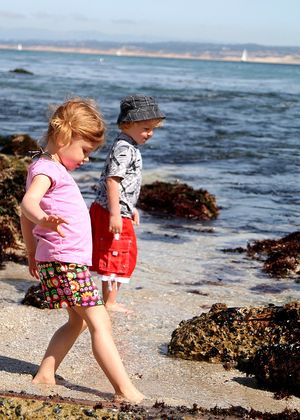 Pacific Grove Beach