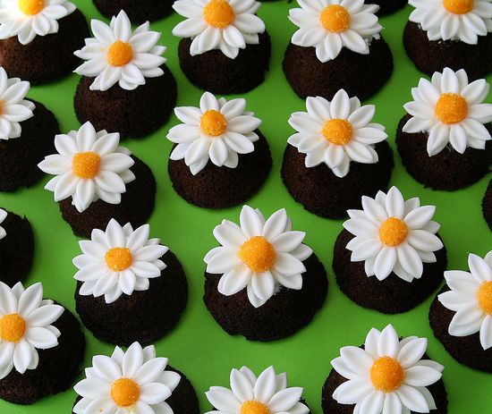 Daisy cupcakes