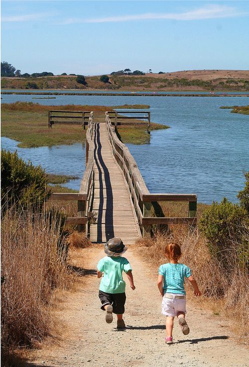 Elkhorn Slough