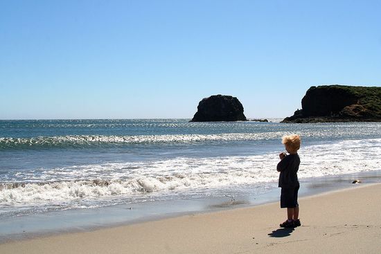 Andrew Molera Beach