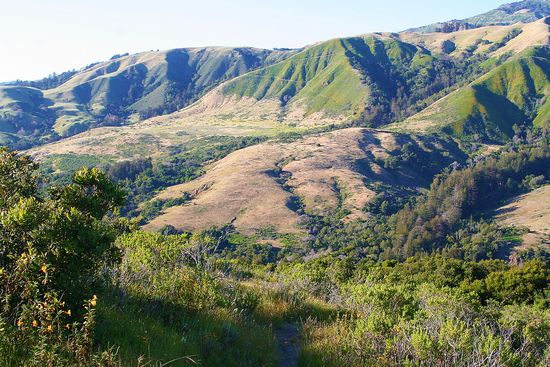 Andrew Molera State Park