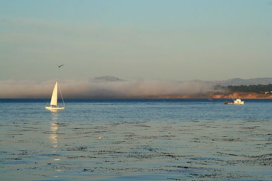 Monterey Bay