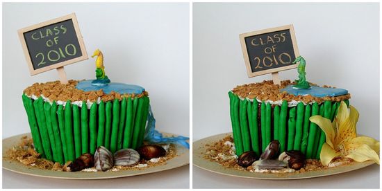 Beach Party Cake