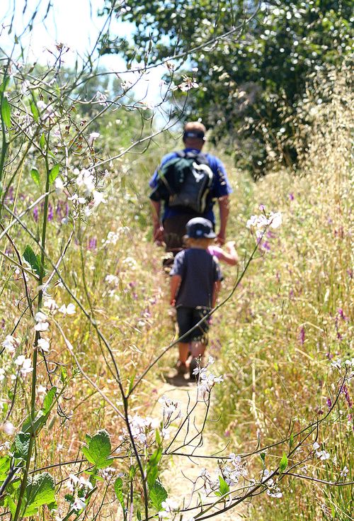 hiking with kids