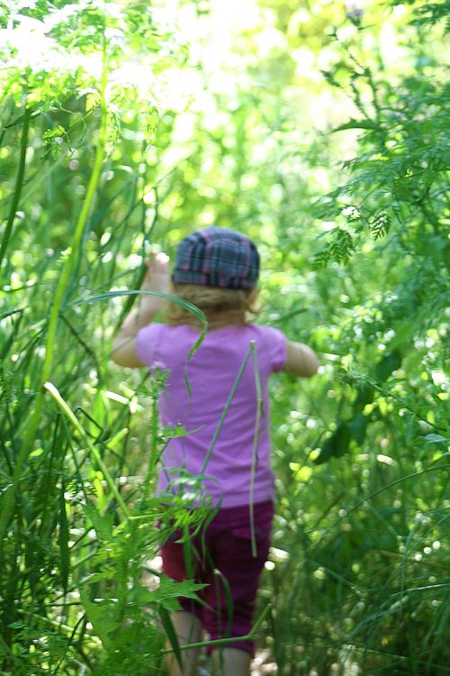 Andrew Molera State Park with kids