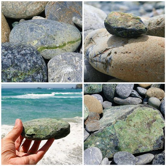 Sand Dollar Beach