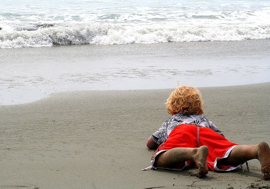 Sand Dollar Beach