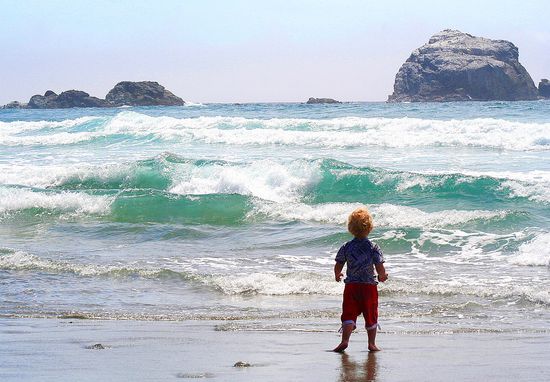 Sand Dollar Beach