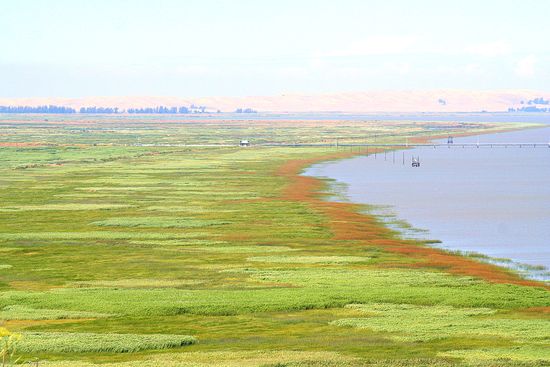 Suisun Bay