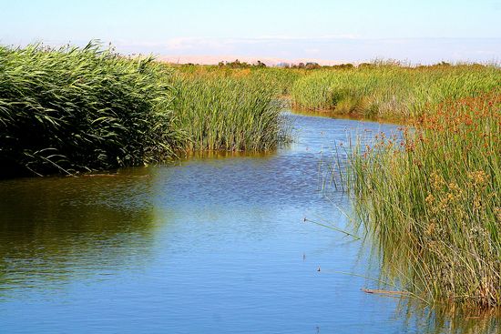 Suisun Bay