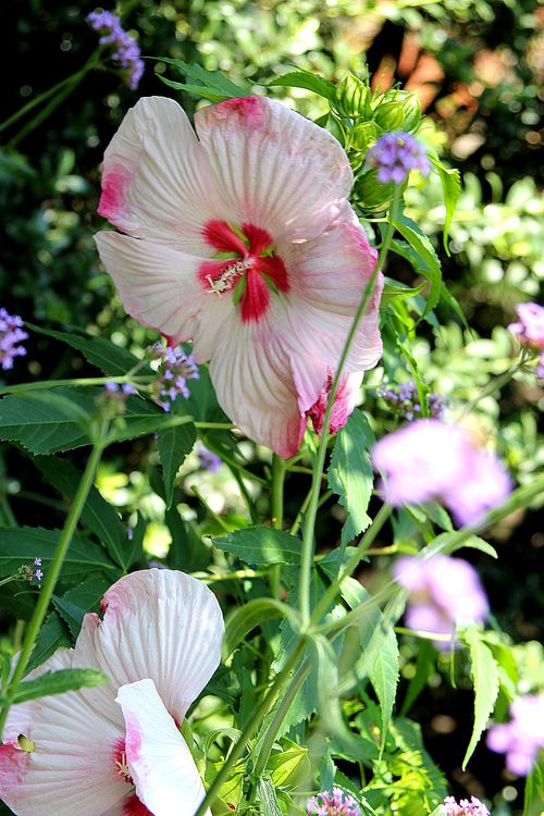 Jefferson Market Gardens