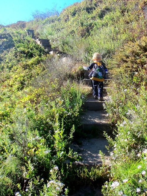 Garrapata State Park