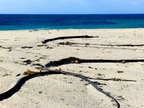 Central Coast Beaches