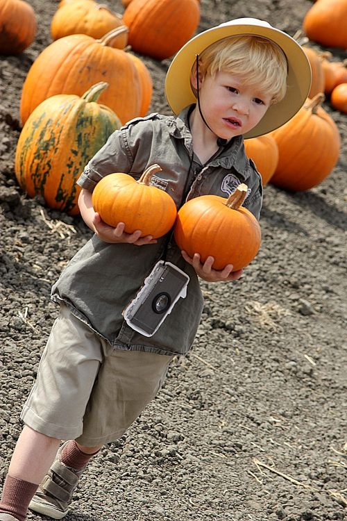 Fall Pumpkin Picking