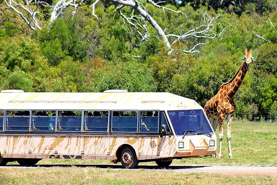 Werribee Open Range Zoo